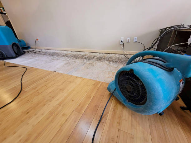 Professional Flood Damage Cleanup technician working in Spencerville, MD